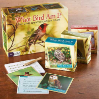 Board Games & Jigsaw Puzzles